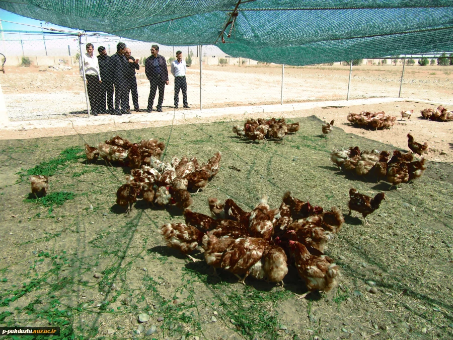 بازدید جناب آقای دکتر زمانی معاونت محترم اداری و مالی 3